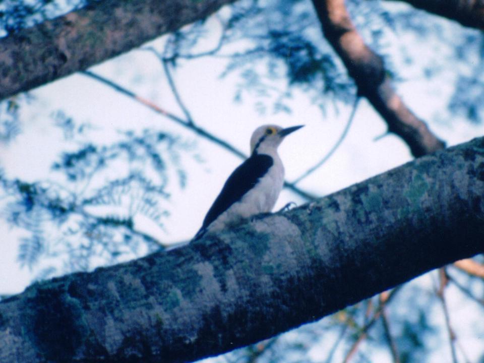 FIGURE 3 FIGURE 3